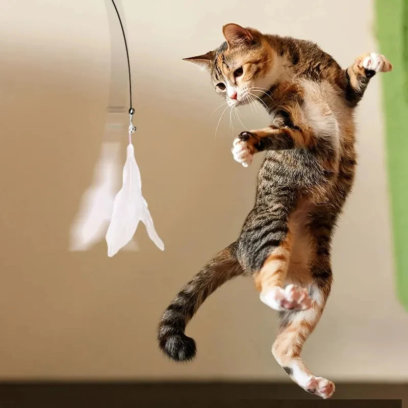Cat Teaser Wand with Bell & Feather